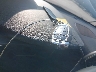 5NMS33AD5KH****** Salvage 2019 Hyundai Santa Fe in Louisiana State