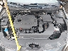 5NPE34AF3GH****** Reparables 2016 Hyundai Sonata en Chicago North