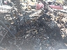 KNDUP131256****** Used and Repairable 2005 Kia Sedona in Wisconsin State