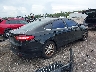 3FA6P0H74GR****** Salvamento y Destrozados 2016 Ford Fusion en Estado de Florida