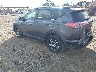 2T3BFREV1HW****** Salvamento y Reparables 2017 Toyota RAV4 en Buffalo