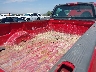 2FTRF18203C****** Destrozados 2003 Ford F-150 en Las Vegas