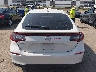 19XFL2H50PE****** Destrozados 2023 Honda Civic