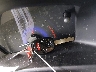 2HGFB2F57DH****** Salvage 2013 Honda Civic in Georgia State