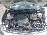 1N4AA6APXGC****** Reparables 2016 Nissan Maxima en Jacksonville