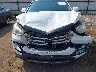 5XYZUDLA1DG****** Salvamento y Reparables 2013 Hyundai Santa Fe en Estado de Washington