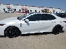 4T1K61AK7PU****** Reparables 2023 Toyota Camry en Estado de Texas