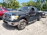 1FTFX1EV8AF****** Usados y Reparables 2010 Ford F-150 en Cleveland
