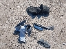 1HGCV3F96MA****** Wrecked 2021 Honda Accord Hybrid in Iowa State