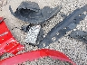 1C6RR7GT0HS****** Salvage and Wrecked 2017 RAM 1500 in Akron Canton