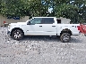 1FTEW1EG0GK****** Reparables 2016 Ford F-150 en Estado de Florida