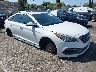 5NPE34AF7FH****** Salvage and Wrecked 2015 Hyundai Sonata in Los Angeles