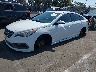 5NPE34AF7FH****** Used and Repairable 2015 Hyundai Sonata in Los Angeles