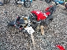 ZDMDAGWW7PB****** Used and Repairable 2023 Ducati Panigale in Cleveland