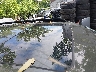 5NMP3DG18RH****** Salvage and Wrecked 2024 Hyundai Santa Fe in Nashville