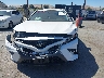 4T1G11AK4LU****** Salvage 2020 Toyota Camry