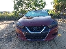 1N4AA6AP2HC****** Salvage 2017 Nissan Maxima in Florida State