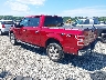 1FTEW1E40KF****** Salvage and Repairable 2019 Ford F-150 in Elkton