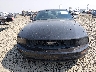 1ZVFT80N165****** Salvamento y Reparables 2006 Ford Mustang en Estado de Oregón