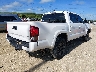 3TMAZ5CN8PM****** Salvamento y Destrozados 2023 Toyota Tacoma en Estado de Florida