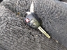JTLZE4FE9EJ****** Salvage 2014 Scion xB in Tennessee State