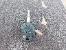 3FAHP07Z37R****** Salvage 2007 Ford Fusion in Kentucky State