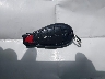 2D4RN3D15AR****** Salvamento 2010 Dodge Grand Caravan en Estado de Wisconsin