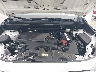 JTMC1RFV4KD****** Repairable 2019 Toyota RAV4 in Miami North
