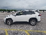 JTMC1RFV4KD****** Repairable 2019 Toyota RAV4 in Florida State