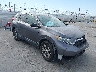 5J6RW5H33KL****** Salvage and Wrecked 2019 Honda CR-V in Los Angeles South