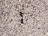 5J8TB185X7A****** Wrecked 2007 Acura RDX in Wisconsin State