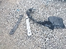 4T1BF1FK8HU****** Wrecked 2017 Toyota Camry in Arkansas State