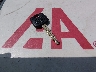 JTLZE4FE8CJ****** Salvamento 2012 Scion xB en Estado de Texas