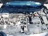 2HGFC2F69KH****** Repairable 2019 Honda Civic in Rochester