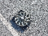 1G6AA5RA3G0****** Wrecked 2016 Cadillac ATS in New York State