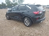 1FMCU0G64MU****** Salvamento y Reparables 2021 Ford Escape en South Bend