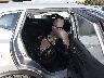 JN1BJ1CW6LW****** Wrecked 2020 Nissan Rogue Sport in Austin