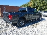 1FTEW1EG0GF****** Salvage and Wrecked 2016 Ford F-150 in Kentucky State