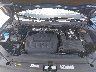 3VV3B7AX7KM****** Repairable 2019 Volkswagen Tiguan in Tampa