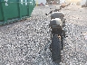 JYARN80E3RA****** Salvage and Repairable 2024 Yamaha Mtm890 in Louisiana State