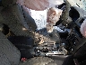 3FAHP0HA9CR****** Salvamento 2012 Ford Fusion en Estado de Mississippi