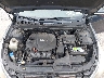 5NPEC4AC2BH****** Reparables 2011 Hyundai Sonata en Tampa