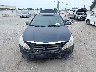5NPEC4AC2BH****** Usados 2011 Hyundai Sonata en Estado de Florida
