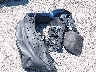 3GNAXHEV2MS****** Wrecked 2021 Chevrolet Equinox in Ohio State