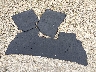 KL47LBEP6TB****** Wrecked 2026 Buick Envista in Kentucky State