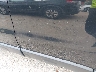 5J6RE4H56BL****** Salvamento y Reparables 2011 Honda CR-V en Estado de Illinois