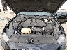 1FA6P8CF3M5****** Repairable 2021 Ford Mustang in Fayetteville