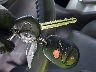4T1FA38P16U****** Salvage 2006 Toyota Camry Solara in Florida State
