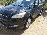 1FMCU0GX7DU****** Salvamento y Reparables 2013 Ford Escape en Estado de Florida