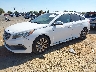 5NPE34AF7FH****** Usados y Reparables 2015 Hyundai Sonata en Sacramento